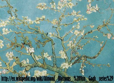 wiki_Almond_Blossoms copy