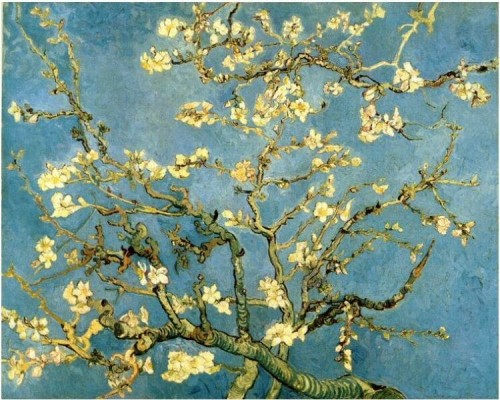 Almond Blossoms by Vincent Van Gogh